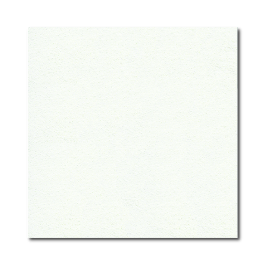 Echoscope Bioplus v3