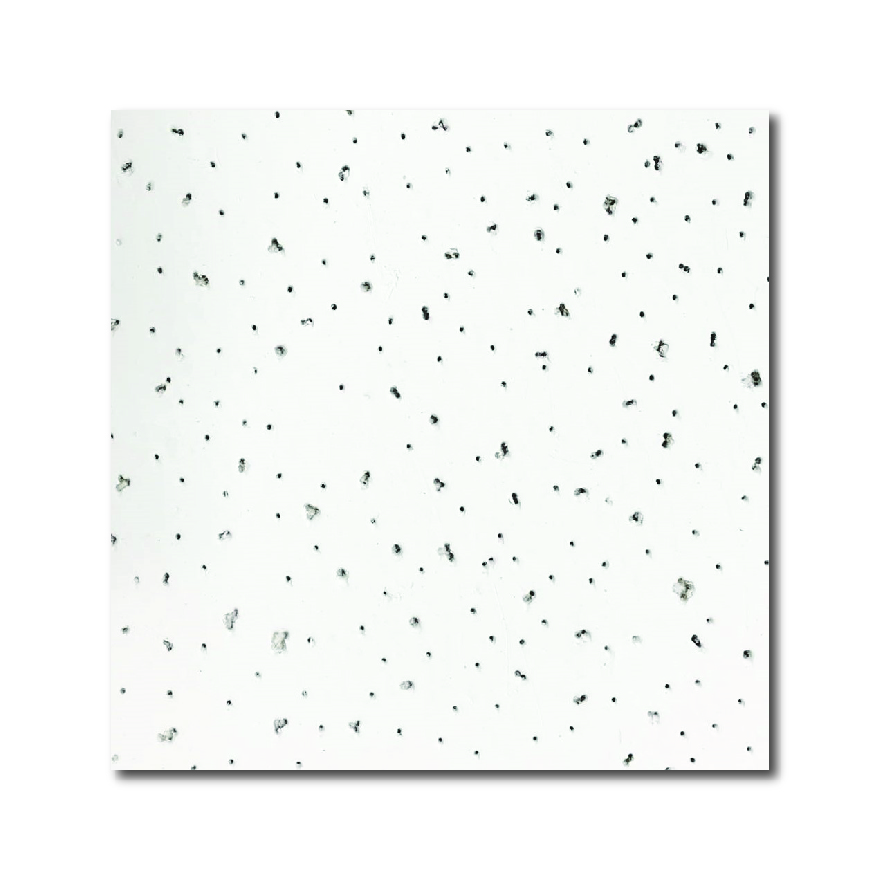 Echoscope Fincase 51