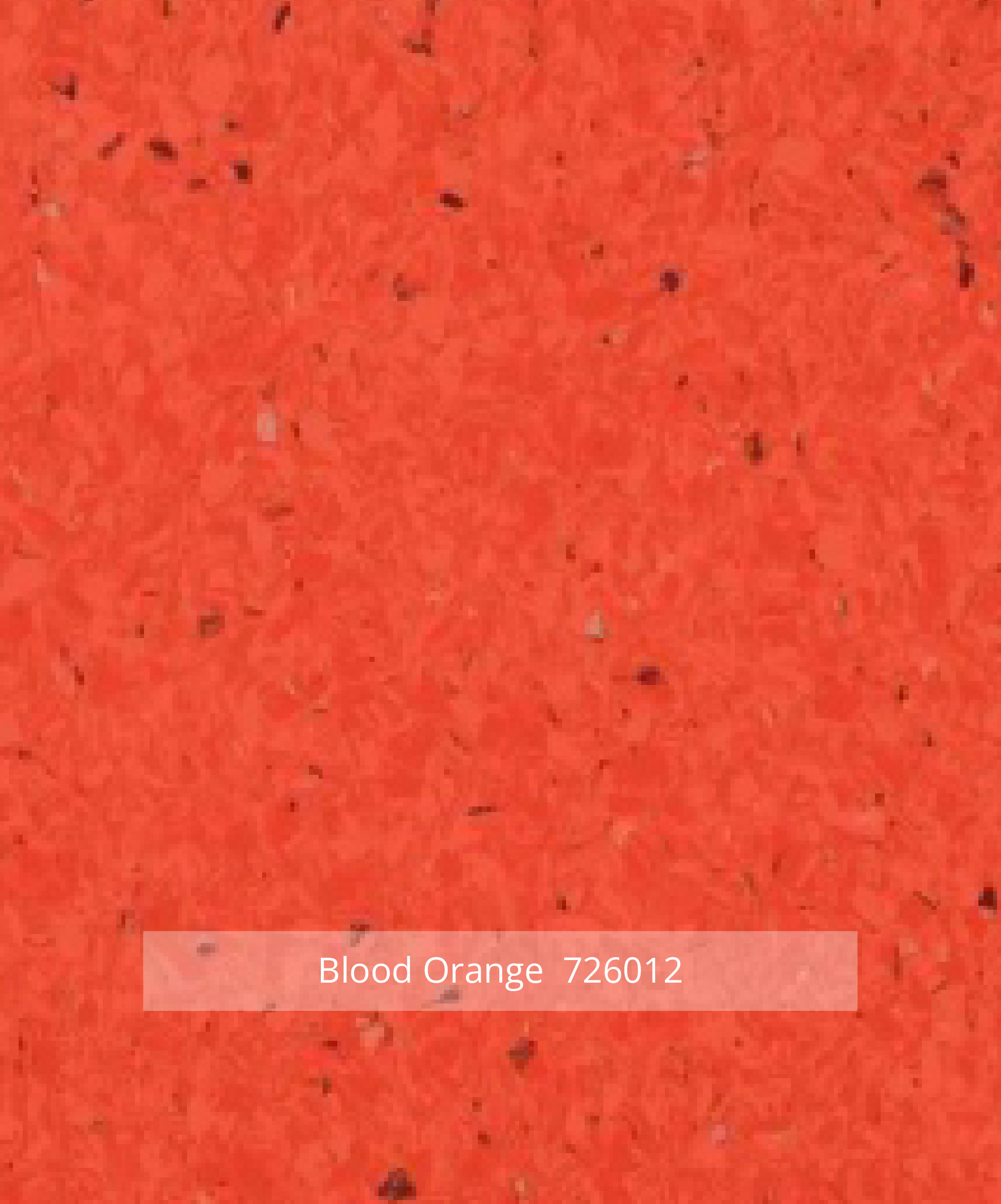 Favorite Blood Orange 726012