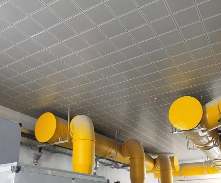 GENESIS Clip in application