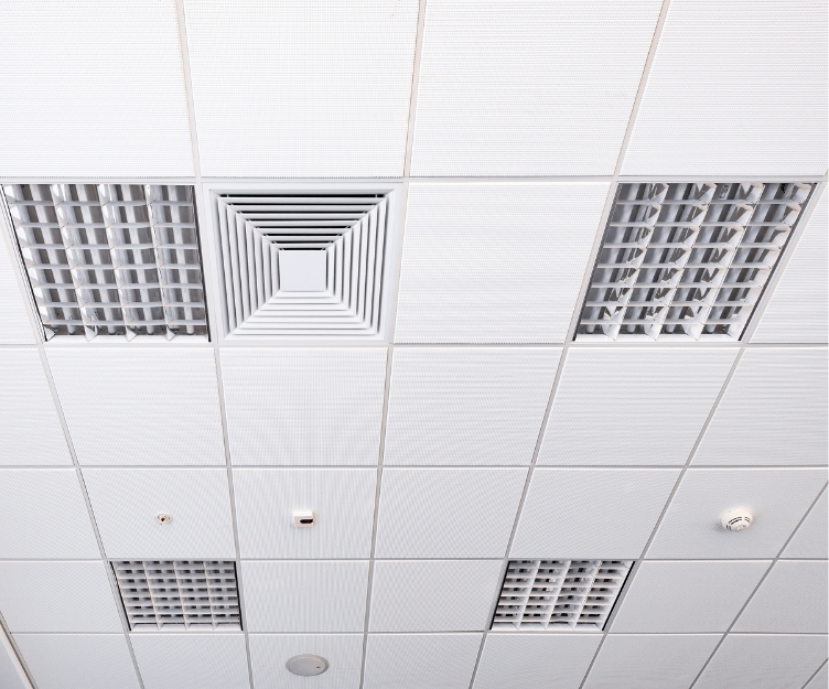 GENESIS Lay in application 1