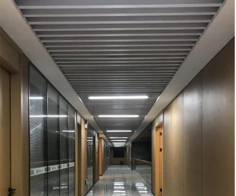 GENESIS U shaped baffle application 2