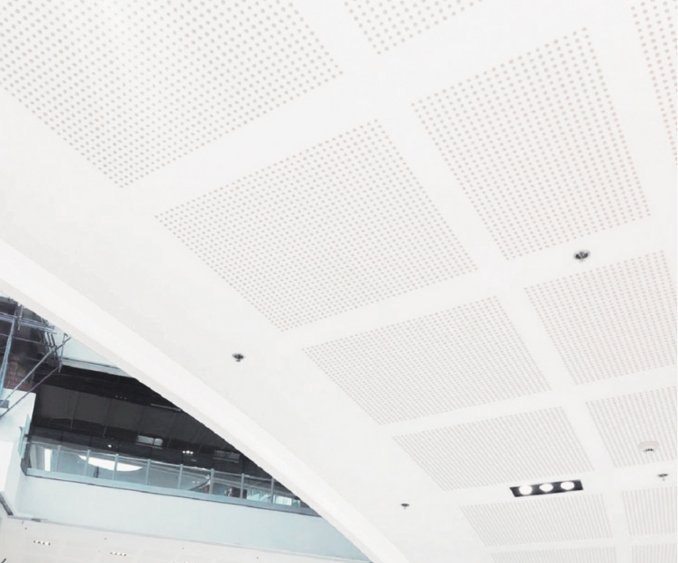 WEBSITE PHOTOS 625 x 752 px